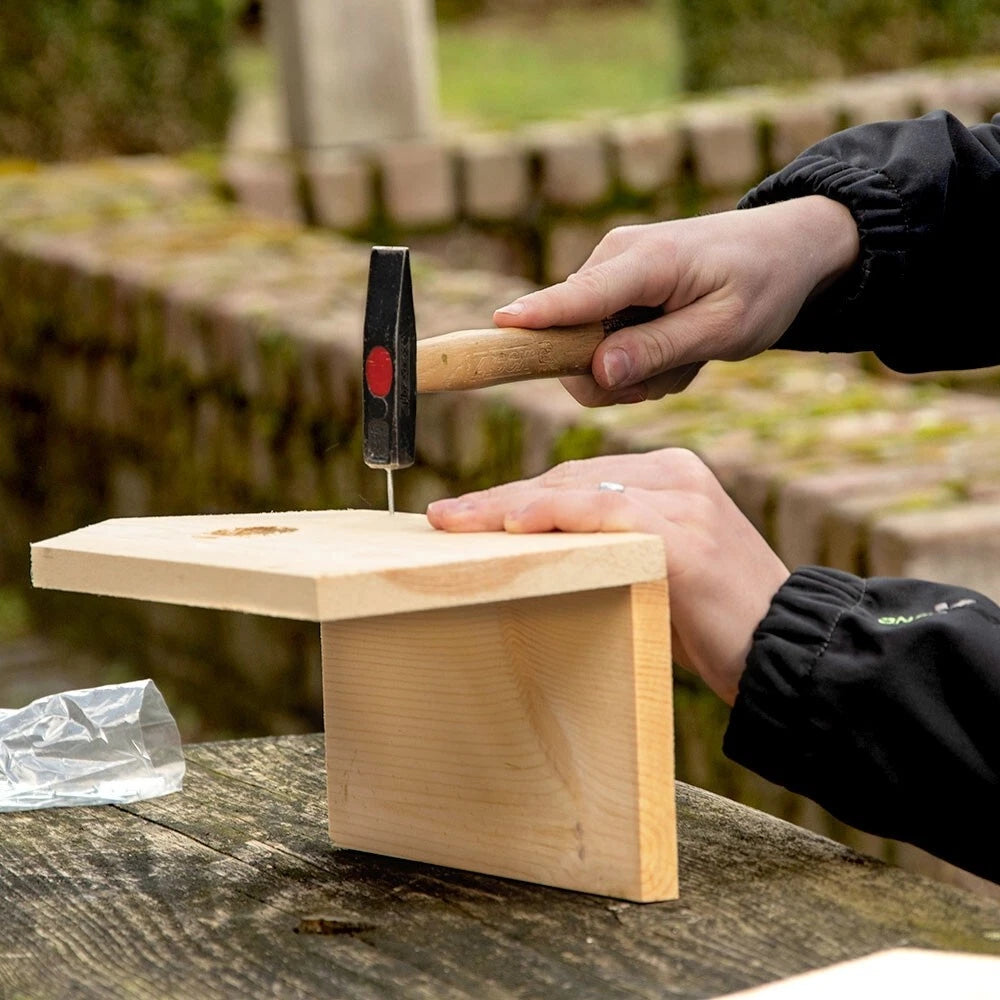 Nest Box Build-Your-Own 32 Cm Wild bird, garden, National Trust
